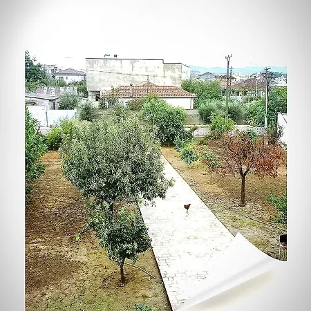 Villa For Rent Albania Durrës